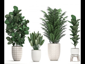 decorative plants in a white pot for the interior 490 3D मॉडल