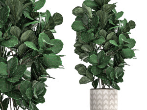decorative plants in a white pot for the interior 490 3D मॉडल