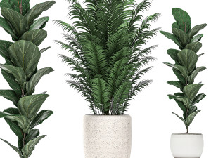 decorative plants in a white pot for the interior 490 3D मॉडल