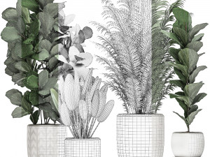 decorative plants in a white pot for the interior 490 3D मॉडल