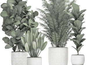 decorative plants in a white pot for the interior 490 3D मॉडल