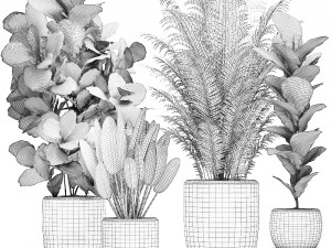 decorative plants in a white pot for the interior 490 3D मॉडल