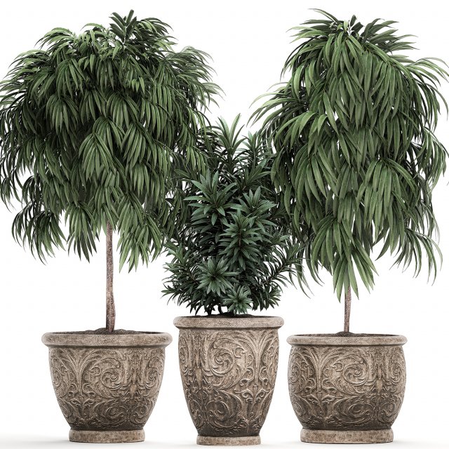 ornamental trees in classic flowerpots for the street parks and garden 491 3D Model .c4d .max .obj .3ds .fbx .stl .blend 