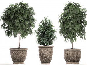 ornamental trees in classic flowerpots for the street parks and garden 491 3D Model