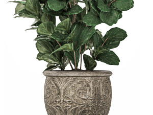 ornamental tree in classic flowerpots for the street parks and garden 492 3D Model