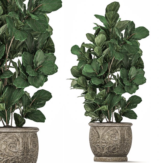 ornamental tree in classic flowerpots for the street parks and garden 492 3D Model .c4d .max .obj .3ds .fbx .stl .blend 