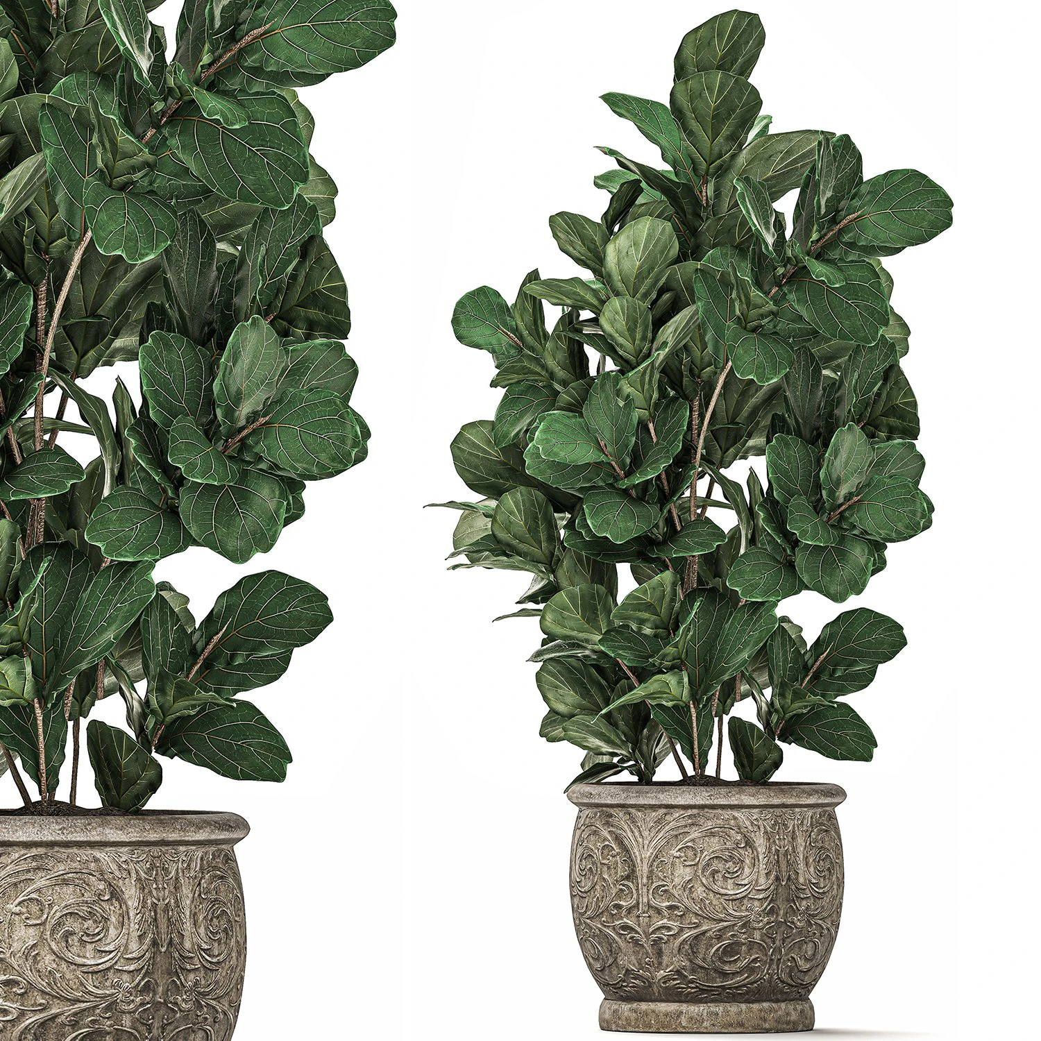 ornamental tree in classic flowerpots for the street parks and garden 492 3D Model .c4d .max .obj .3ds .fbx .stl .blend