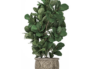 ornamental tree in classic flowerpots for the street parks and garden 492 3D Model