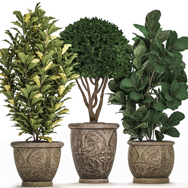ornamental tree in classic flowerpots for the street parks and garden 493 Model 3D .c4d .max .obj .3ds .fbx .stl .blend 