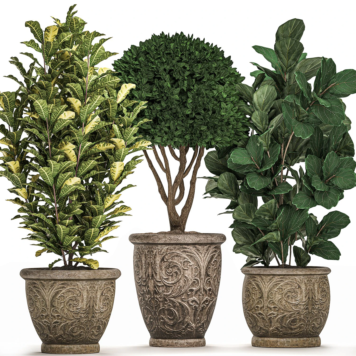 ornamental tree in classic flowerpots for the street parks and garden 493 3D Model .c4d .max .obj .3ds .fbx .stl .blend 