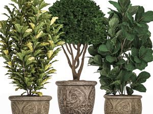 ornamental tree in classic flowerpots for the street parks and garden 493 Model 3D