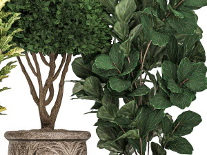 ornamental tree in classic flowerpots for the street parks and garden 493 3D Model
