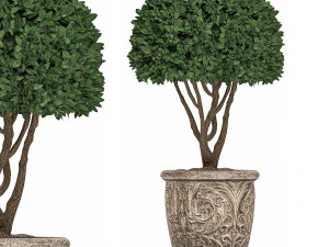ornamental tree in classic flowerpots for the street parks and garden 493 3D Model