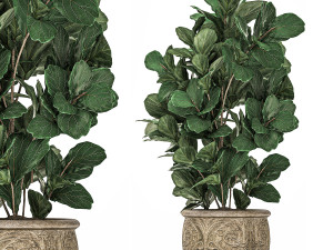 ornamental tree in classic flowerpots for the street parks and garden 493 Model 3D