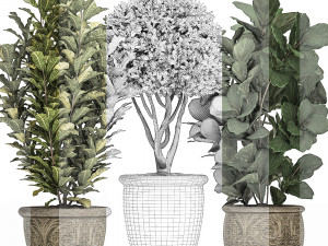 ornamental tree in classic flowerpots for the street parks and garden 493 Model 3D