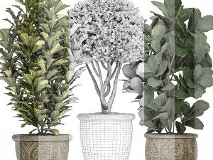 ornamental tree in classic flowerpots for the street parks and garden 493 3D Model