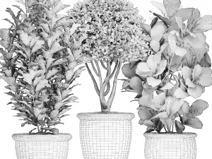 ornamental tree in classic flowerpots for the street parks and garden 493 Model 3D