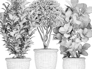 ornamental tree in classic flowerpots for the street parks and garden 493 3D Model