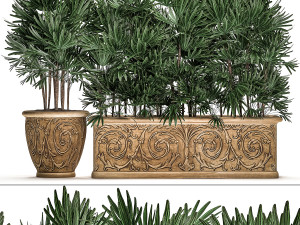 ornamental palms in classic flowerpots for the street parks and garden 493 3D Model