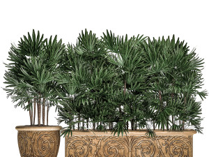 ornamental palms in classic flowerpots for the street parks and garden 493 Modello 3D