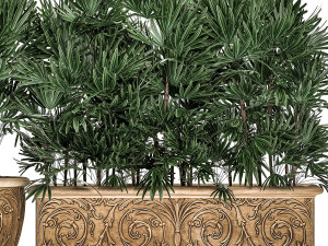 ornamental palms in classic flowerpots for the street parks and garden 493 Modello 3D