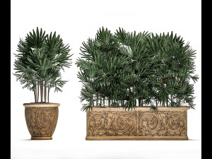 ornamental palms in classic flowerpots for the street parks and garden 493 Modello 3D