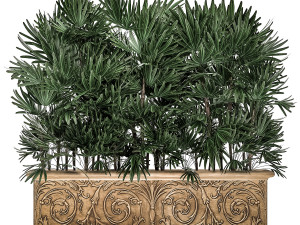 ornamental palms in classic flowerpots for the street parks and garden 493 Modello 3D