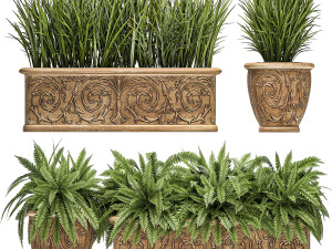 ornamental bushes in classic flowerpots for parks and garden 494 3D Model