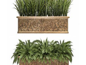 ornamental bushes in classic flowerpots for parks and garden 494 Modello 3D