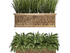 ornamental bushes in classic flowerpots for parks and garden 494 3D Model