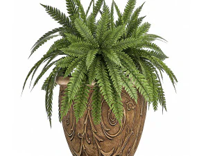 ornamental bushes in classic flowerpots for parks and garden 494 3D Model