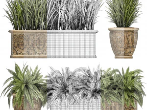 ornamental bushes in classic flowerpots for parks and garden 494 3D Model