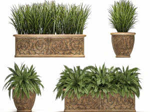 ornamental bushes in classic flowerpots for parks and garden 494 3D Model