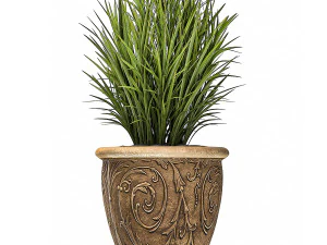 ornamental bushes in classic flowerpots for parks and garden 494 3D Model