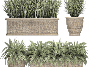 ornamental bushes in classic flowerpots for parks and garden 494 Modello 3D