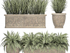 ornamental bushes in classic flowerpots for parks and garden 494 3D Model