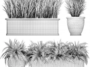ornamental bushes in classic flowerpots for parks and garden 494 3D Model