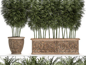公園や庭園用の古典的な植木鉢に入った観賞用の竹の木 495 3Dモデル