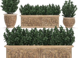 ornamental bushes in classic flowerpots for parks and garden 496 3D-Modell