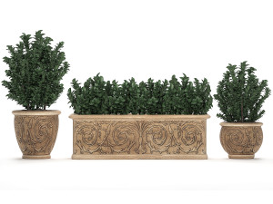 ornamental bushes in classic flowerpots for parks and garden 496 3D Model
