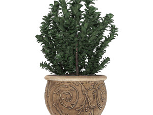 ornamental bushes in classic flowerpots for parks and garden 496 3D Model