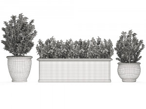ornamental bushes in classic flowerpots for parks and garden 496 3D Model