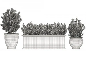 ornamental bushes in classic flowerpots for parks and garden 496 3D Model