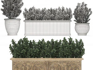 ornamental bushes in classic flowerpots for parks and garden 496 3D Model