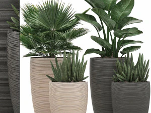 इंटीरियर के लिए फूलों के गमलों में सजावटी पौधे 497 3D मॉडल