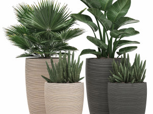 decorative plants in flower pots for the interior 497 3D Model