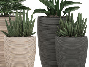 decorative plants in flower pots for the interior 497 3D Model