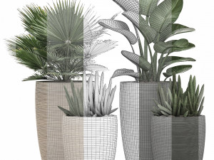 decorative plants in flower pots for the interior 497 3D Model