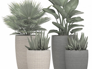 decorative plants in flower pots for the interior 497 3D Model