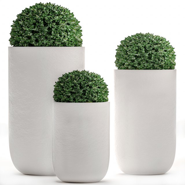 ornamental bushes in flowerpots for parks and garden 499 3D Model .c4d .max .obj .3ds .fbx .stl .blend 